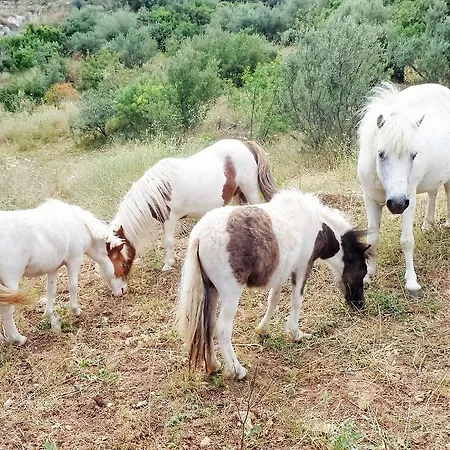 Menina Farm - Traditional Stones Country Houses To Rent Διαμέρισμα
