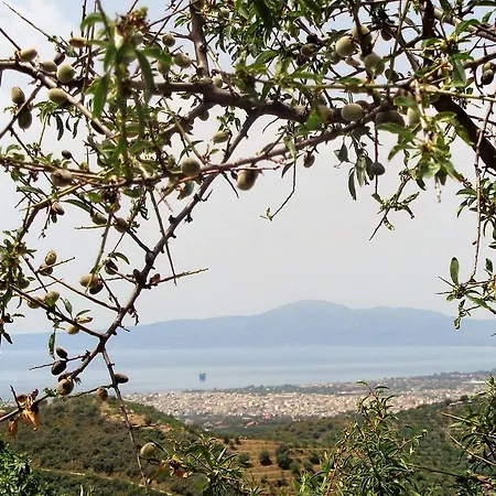 Menina Farm - Traditional Stones Country Houses To Rent Διαμέρισμα Kato Karvelion