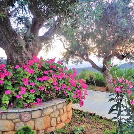Menina Farm - Traditional Stones Country Houses To Rent Διαμέρισμα